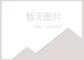 邙山区白山体育有限公司